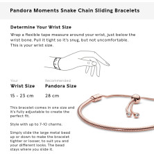 Pandora Moments, braccialetto a maglia serpente con chiusura a scorrimento, 28 cm, 28 cm, Argento sterling