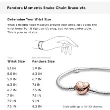 Pandora Bracciale con Charm Donna argento - 580719,