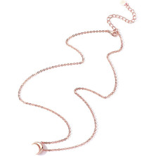 ChicSilver Collana girocollo da donna, argento/placcato oro/rosa oro, gioielli a girocollo con ciondolo a forma di